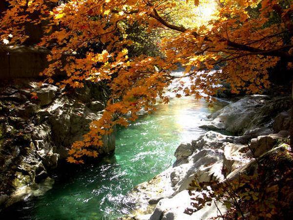 ホテルKinryuen 沼田市 エクステリア 写真